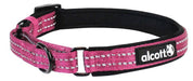 alcott Martingale Collar - Jeffers - Dog Supplies > Dog Apparel > Dog Collars, Harnesses, & Leashes