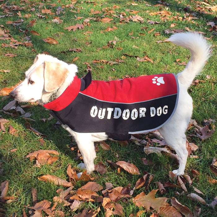 All Weather Dog Jacket, Medium - Jeffers - Dog Supplies > Dog Apparel