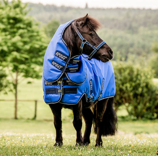 Amigo Hero 6 Petite Plus, Blue/Navy - Jeffers - Horse Supplies > Horse Blankets & Sheets