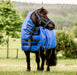 Amigo Hero 6 Petite Plus, Blue/Navy - Jeffers - Horse Supplies > Horse Blankets & Sheets