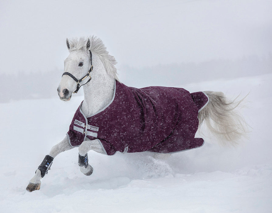 Amigo Hero Ripstop Turnout Blanket, 200 Gram, Fig/Silver - Jeffers - Horse Supplies > Horse Blankets & Sheets