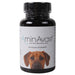 AminAvast Canine (formally called Renavast) - Jeffers - Animal Health & Wellness > Medicine