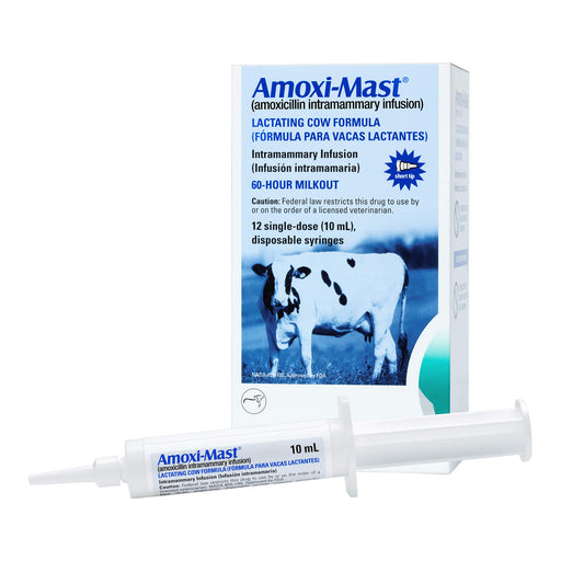 Amoxi - Mast - Jeffers - Animal Health & Wellness > Medicine