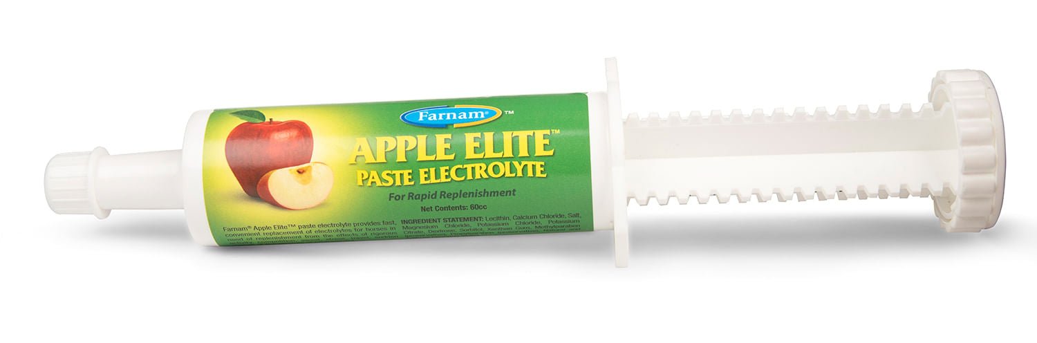 Apple Elite Paste Electrolyte, 60 cc - Jeffers - Animal Health & Wellness > Vitamins & Supplements