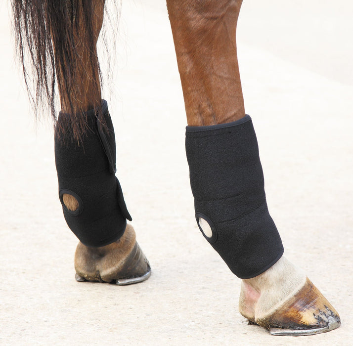 ARMA Hot/Cold Joint Relief Boots - Jeffers - Horse Supplies > Horse Boots & Leg Wraps