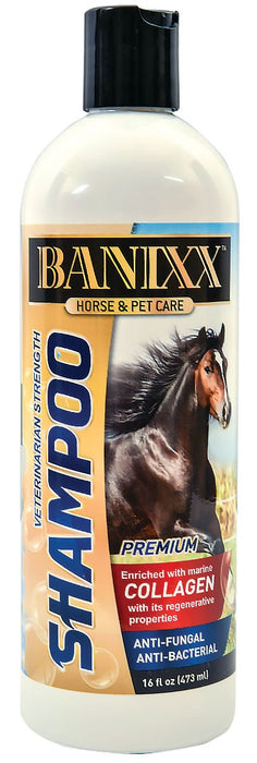 Banixx Veterinary Strength Shampoo, 16 oz - Jeffers - Horse Supplies > Horse Grooming