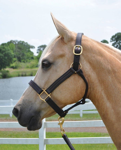 Berlin 1 - 1/8' Amish Handmade Leather Halter - Jeffers - Horse Supplies > Horse Tack > Horse Halters