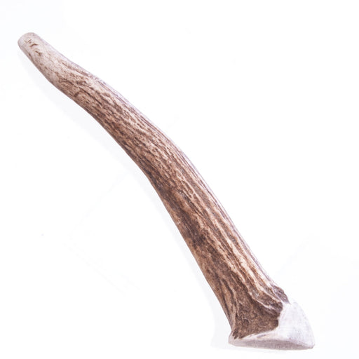 Big Sky Antler Chews, Singles - Jeffers - Dog Supplies > Dog Treats > Chews