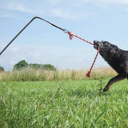 Big Tether Tug - Jeffers - Dog Supplies > Dog Toys