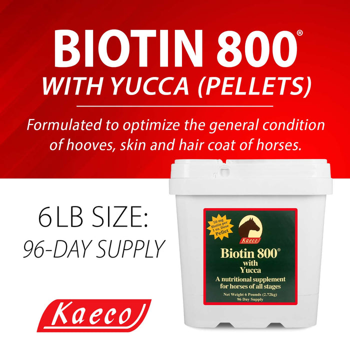 Biotin 800 Pellets - Jeffers - Animal Health & Wellness > Vitamins & Supplements