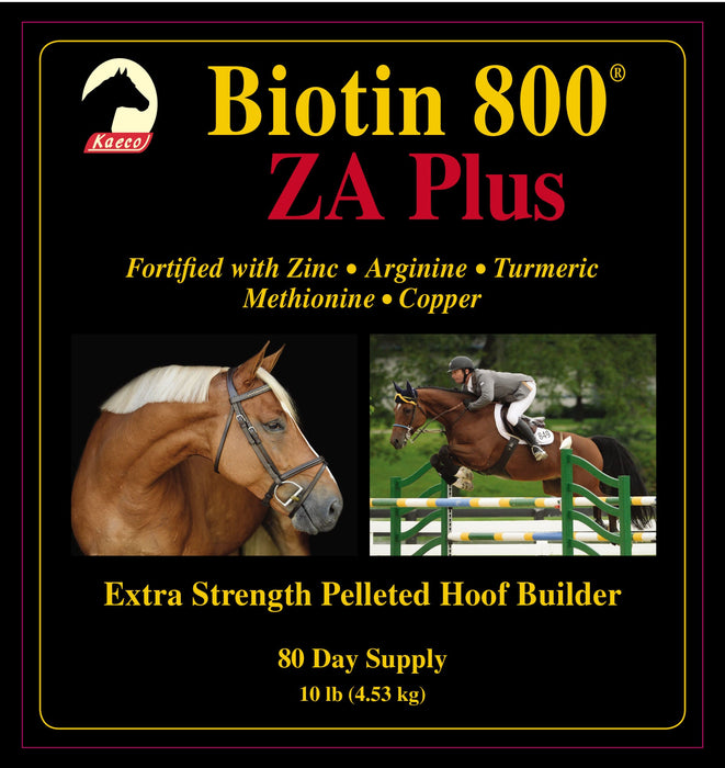 Biotin 800 ZA Plus - Jeffers - Animal Health & Wellness > Vitamins & Supplements