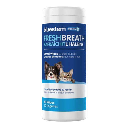 bluestem Dental Wipes, 60 ct - Jeffers - Animal Health & Wellness > Oral Care