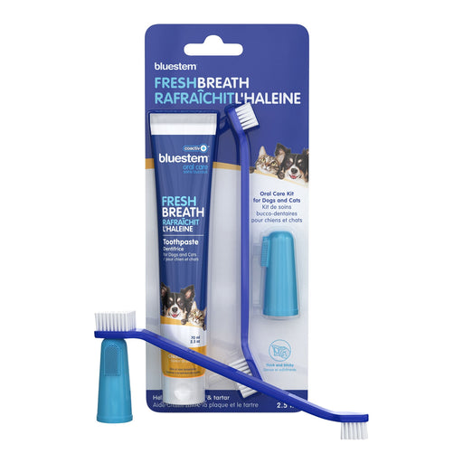 bluestem Oral Care Kit - Jeffers - Animal Health & Wellness > Oral Care