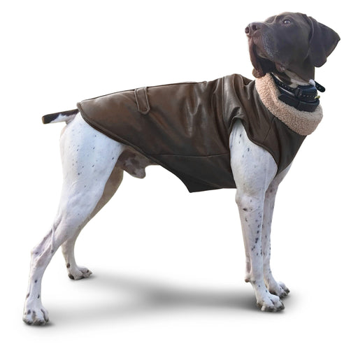 Bomber Dog Jacket by Fashion Pet - Jeffers - Dog Supplies > Dog Apparel