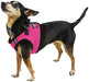 Boston Mesh Dog Harness - Jeffers - Dog Supplies > Dog Apparel > Dog Collars, Harnesses, & Leashes