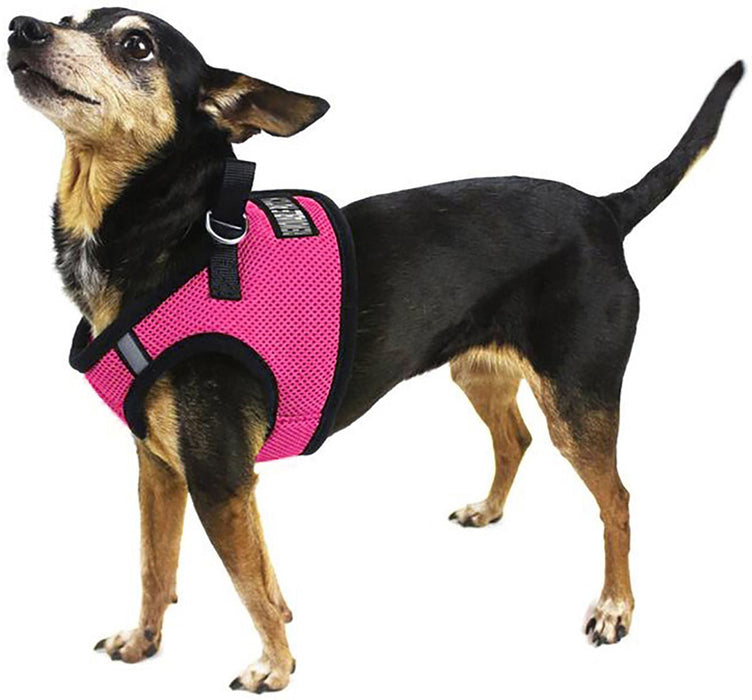 Boston Mesh Dog Harness, Small - Jeffers - Dog Supplies > Dog Apparel