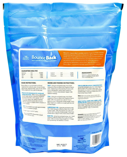 Bounce Back® - Jeffers - Animal Health & Wellness > Vitamins & Supplements