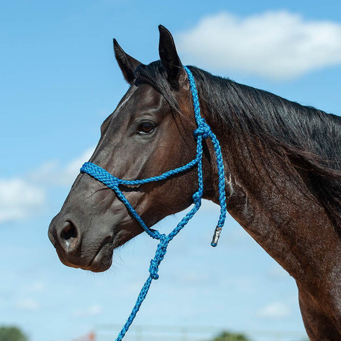 Braided Mule Tape Halter w/ 9' Lead - Jeffers - Horse Supplies > Horse Tack > Horse Halters