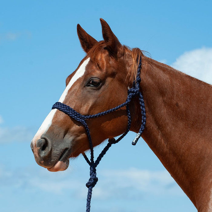 Braided Mule Tape Halter w/ 9' Lead - Jeffers - Horse Supplies > Horse Tack > Horse Halters