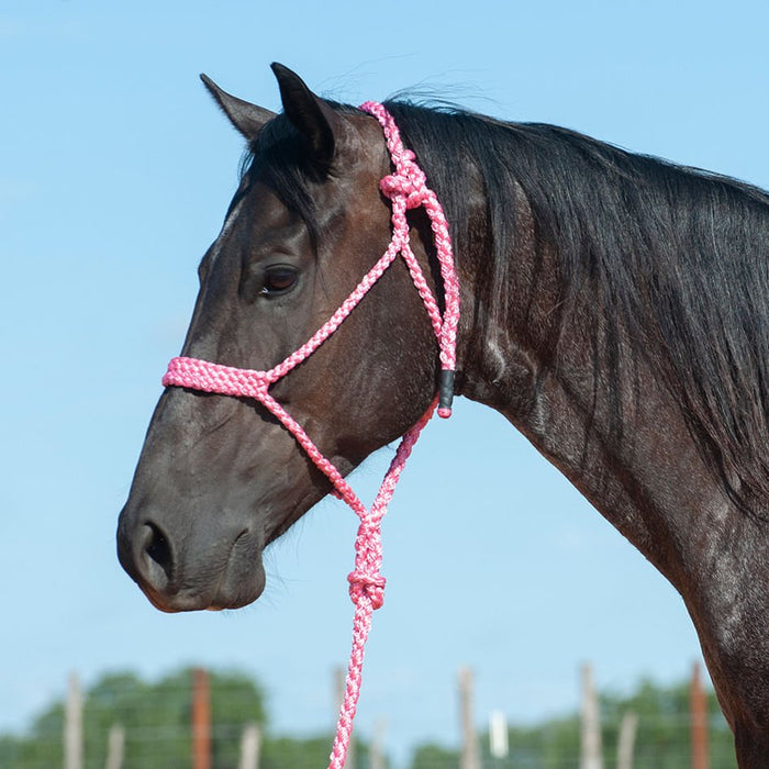 Braided Mule Tape Halter w/ 9' Lead - Jeffers - Horse Supplies > Horse Tack > Horse Halters