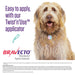 Bravecto Topical Dog - Jeffers - Animal Health & Wellness > Flea & Tick Control