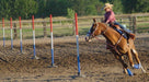 Break - Down Pole Bending Poles - Jeffers - Horse Supplies > Training