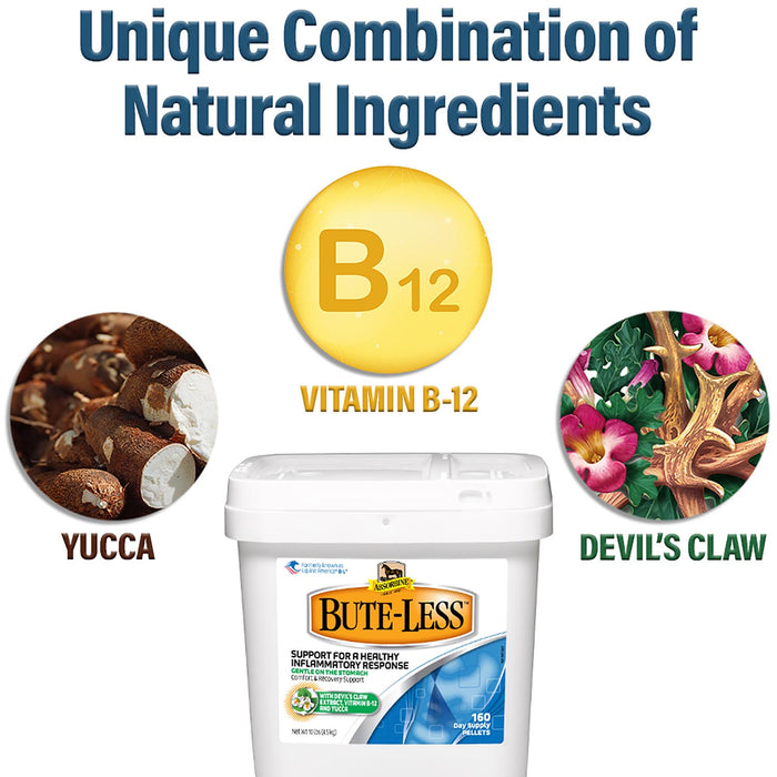 Bute - Less Pellets - Jeffers - Animal Health & Wellness > Joint Health