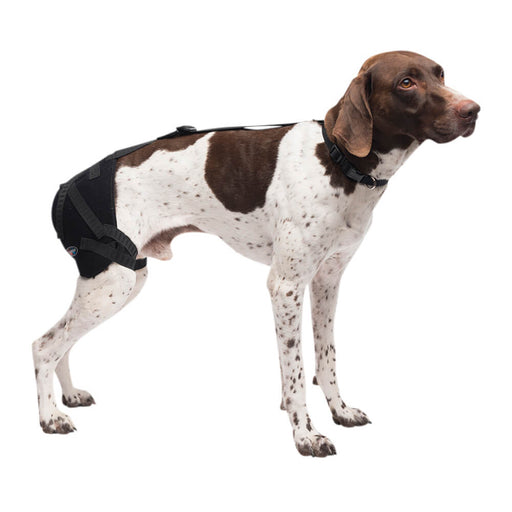 Caldera Pet Therapy Hip Wrap with Therapy Gel - Jeffers - Animal Health & Wellness > Medical Supplies