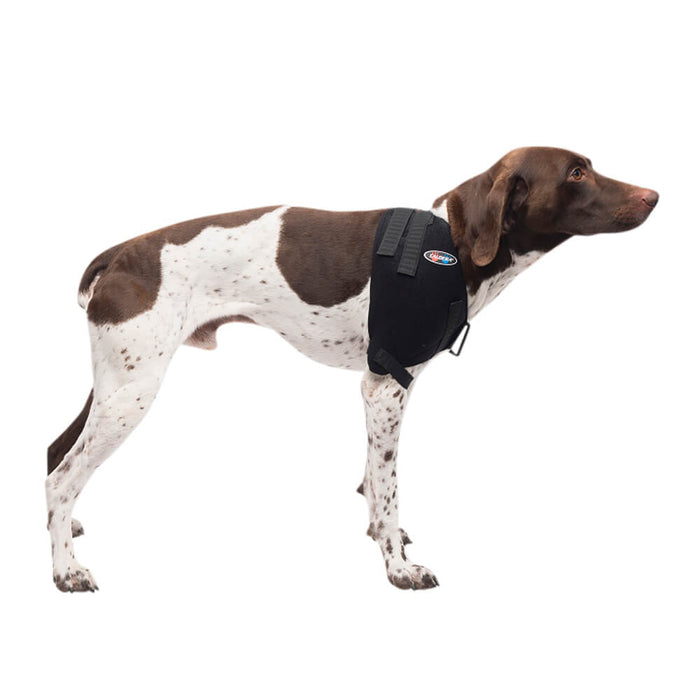 Caldera Pet Therapy Shoulder Wrap with Therapy Gel - Jeffers - Animal Health & Wellness > Medical Supplies