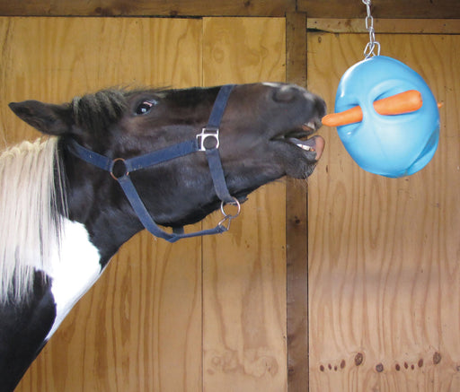 Carrot Ball - Jeffers - Horse Supplies > Horse Treats