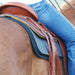 Cashel ¼' Felt Saddle Pad Liner (32' x 32') - Jeffers - Horse Supplies > Horse Tack > Saddle Pads & Blankets