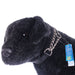 Check - Choke Training Collar, 5/8'W x 10' - 14'L - Jeffers - Dog Supplies > Dog Apparel > Dog Collars, Harnesses, & Leashes