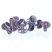 Chicago Screws - Jeffers - Horse Supplies > Horse Tack > Bridles & Headstalls