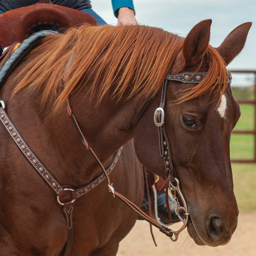 Classic Equine Copper Dot Browband Headstall - Jeffers - Horse Supplies > Horse Tack > Bridles & Headstalls