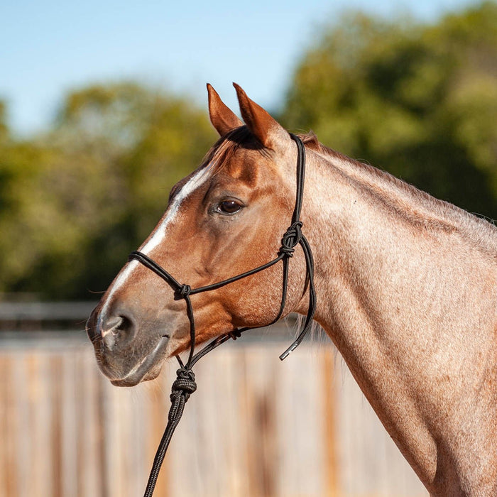 Classic Equine Econo Rope Halter with 8' Leadrope - Jeffers - Horse Supplies > Horse Tack > Horse Halters