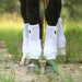 Classic Equine Legacy 2 Front Boots, Large - Jeffers - Horse Supplies > Horse Boots & Leg Wraps