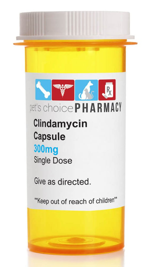 Clindamycin Capsules for Dogs - Jeffers - Animal Health & Wellness > Medicine