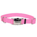 Coastal Adjustable Dog Collar with Metal Buckle, Pink Bright - Jeffers - Dog Supplies > Dog Apparel > Dog Collars, Harnesses, & Leashes