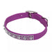 Coastal Jeweled Dog Collar - Jeffers - Dog Supplies > Dog Apparel > Dog Collars, Harnesses, & Leashes