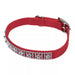 Coastal Jeweled Dog Collar - Jeffers - Dog Supplies > Dog Apparel > Dog Collars, Harnesses, & Leashes