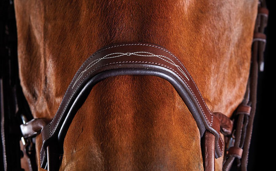 Collegiate ComFITec Fancy Stitch Bridle - Jeffers - Horse Supplies > Horse Tack > Bridles & Headstalls