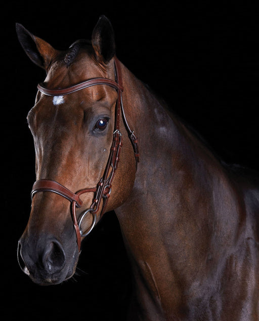 Collegiate ComFITec Training Bridle - Jeffers - Horse Supplies > Horse Tack > Bridles & Headstalls