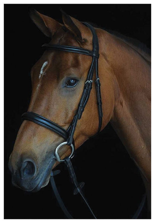 Collegiate Comfort Crown Padded Raised Cavesson Bridle - Jeffers - Horse Supplies > Horse Tack > Bridles & Headstalls