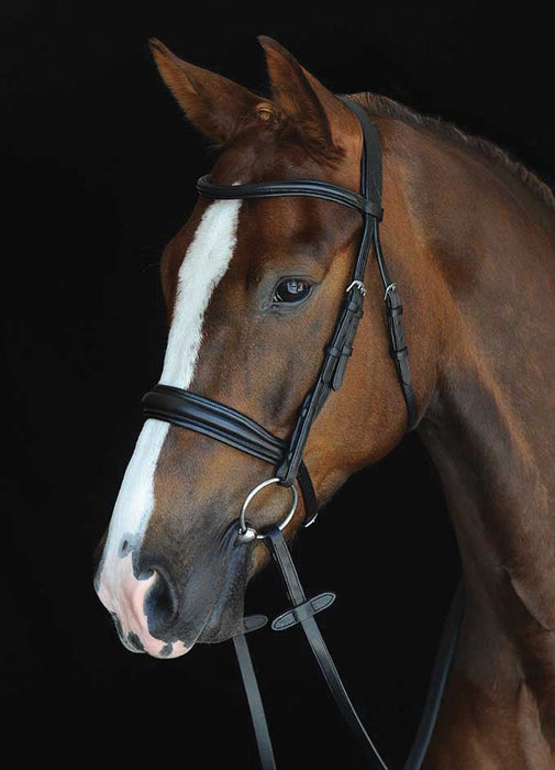 Collegiate Mono Crown Padded Raised Cavesson Bridle - Jeffers - Horse Supplies > Horse Tack > Bridles & Headstalls