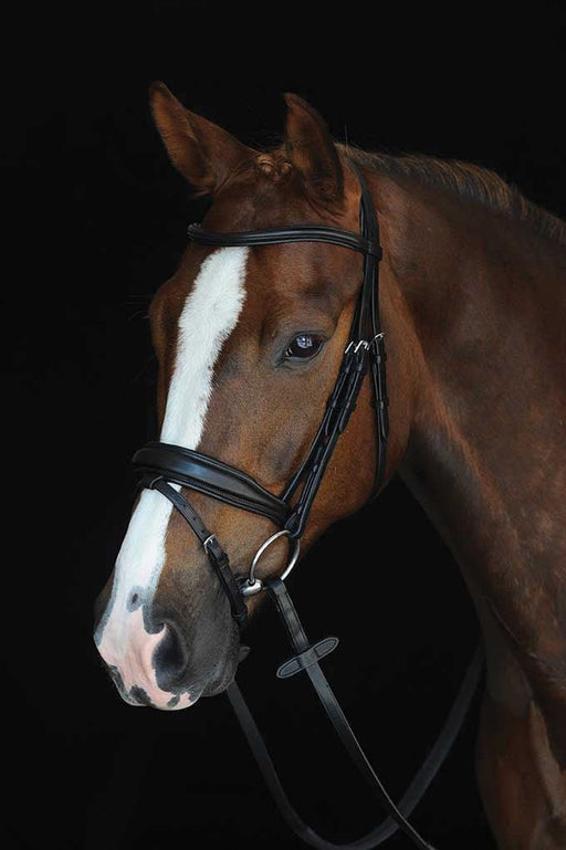 Collegiate Mono Crown Padded Raised Flash Bridle - Jeffers - Horse Supplies > Horse Tack > Bridles & Headstalls