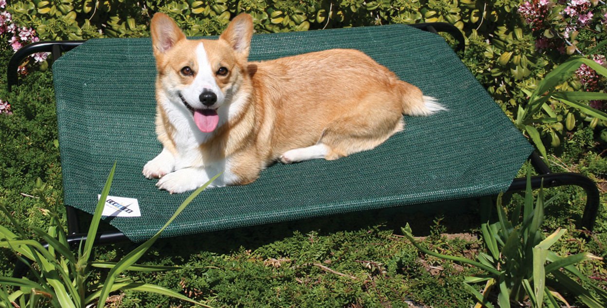 Coolaroo Pet Bed - Jeffers - Dog Supplies > Dog Beds