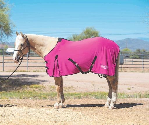 Coolcore Equine Cooling Blanket - Jeffers - Horse Supplies > Horse Blankets & Sheets