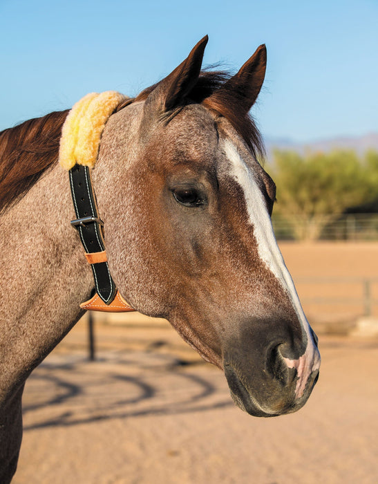 Dare Cribbing Control Collar, Black - Jeffers - Horse Supplies > Horse Supplies