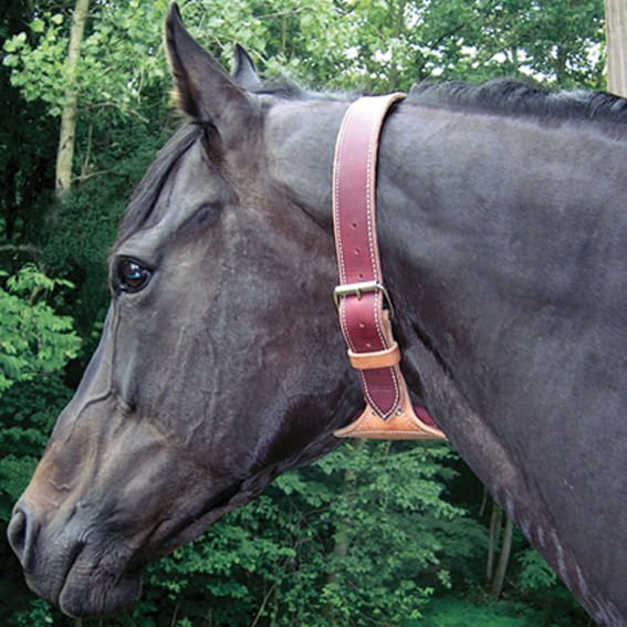 Dare Cribbing Control Collar - Jeffers - Horse Supplies > Horse Supplies