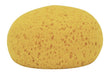 Decker Tack Sponges, 12pk - Jeffers - Horse Supplies > Horse Supplies